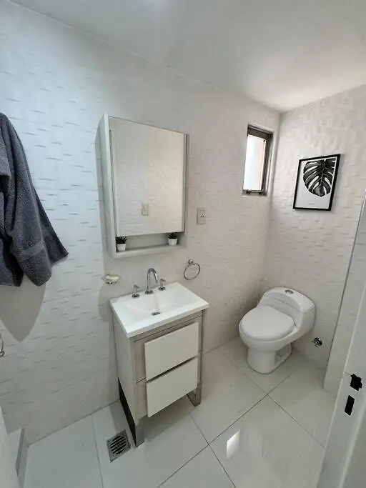 Modern Apartment In Mendoza Capital